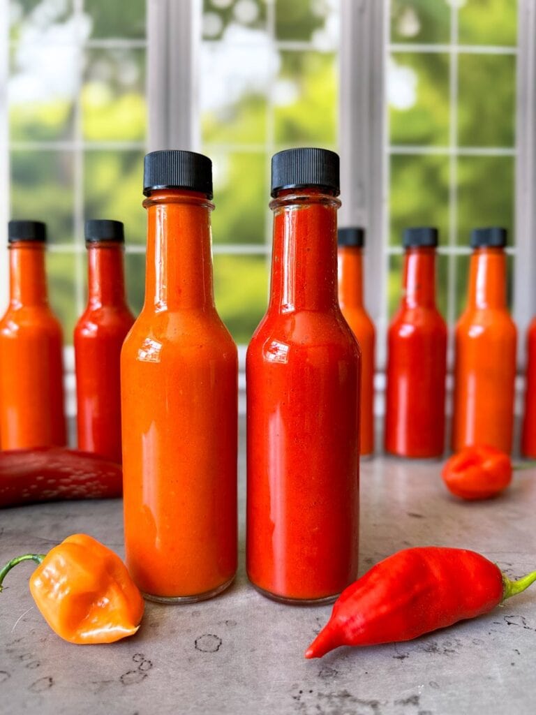 Salsa picante fermentada artesanal chilena con ajíes y vegetales naturales